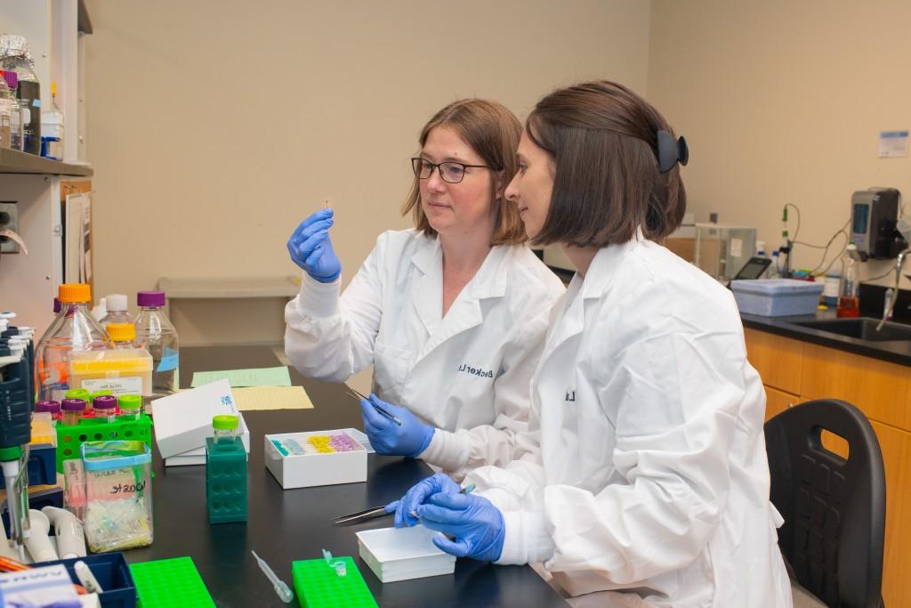 Becker and a student researchers prepare slides in the lab